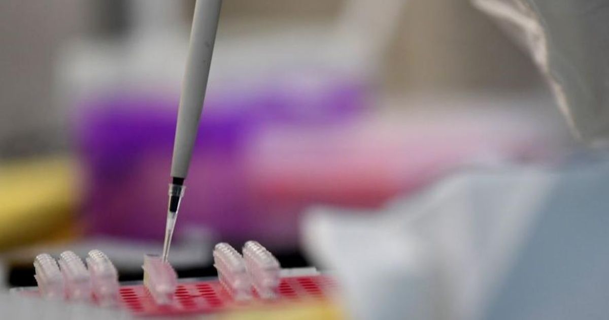 FMI: el desarrollo de una vacuna contra coronavirus impulsaría el crecimiento