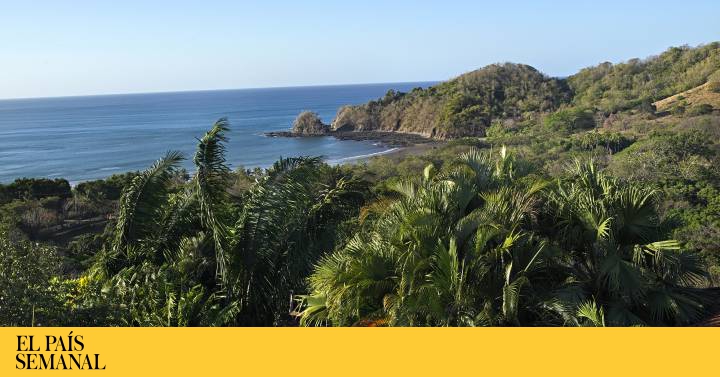 La gran lección del pequeño colibrí