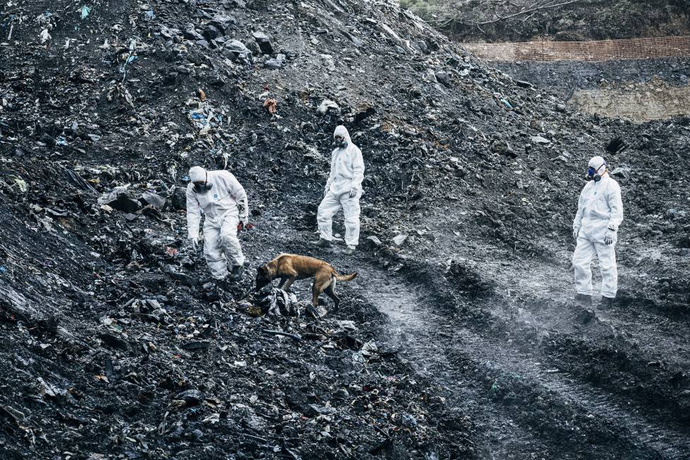 La Ertzaintza, en labores de búsqueda con la ayuda de la unidad canina.