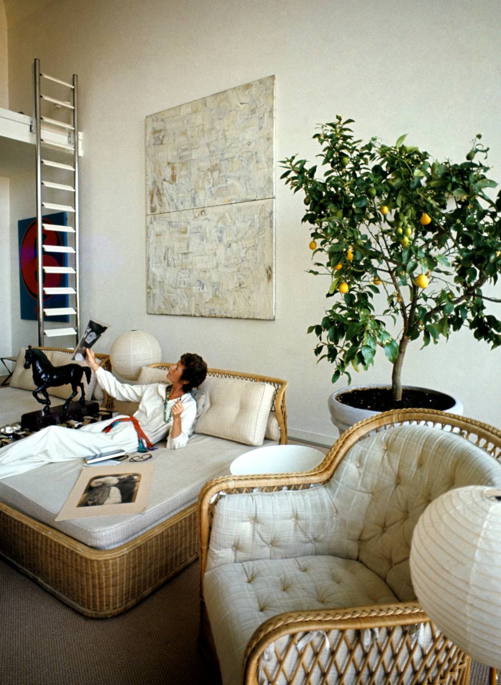 casas marella agnelli