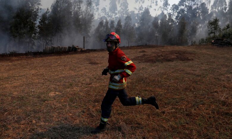Advierten en Europa riesgo elevado de incendios durante el verano