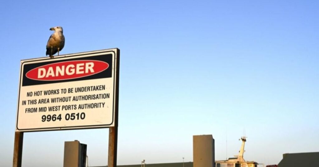 Coronavirus: la OMS relativiza el anuncio de que los asintomáticos contagian poco