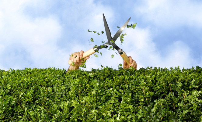 Cuatro perspectivas: ¿Apple recortará las tarifas de la App Store?