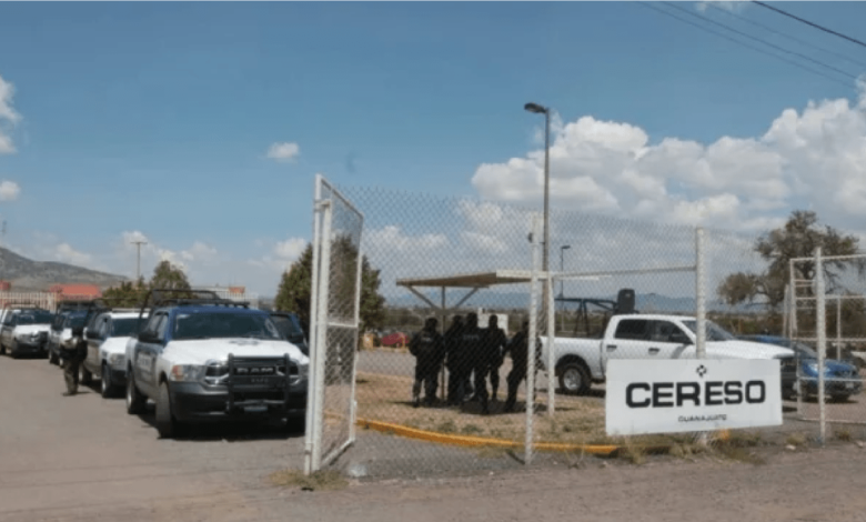 El Marro, sigue impune: Dejan en libertad a su madre….por falta de pruebas