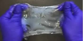 Los científicos encontraron una manera de hacer que el tejido cerebral sea indestructible