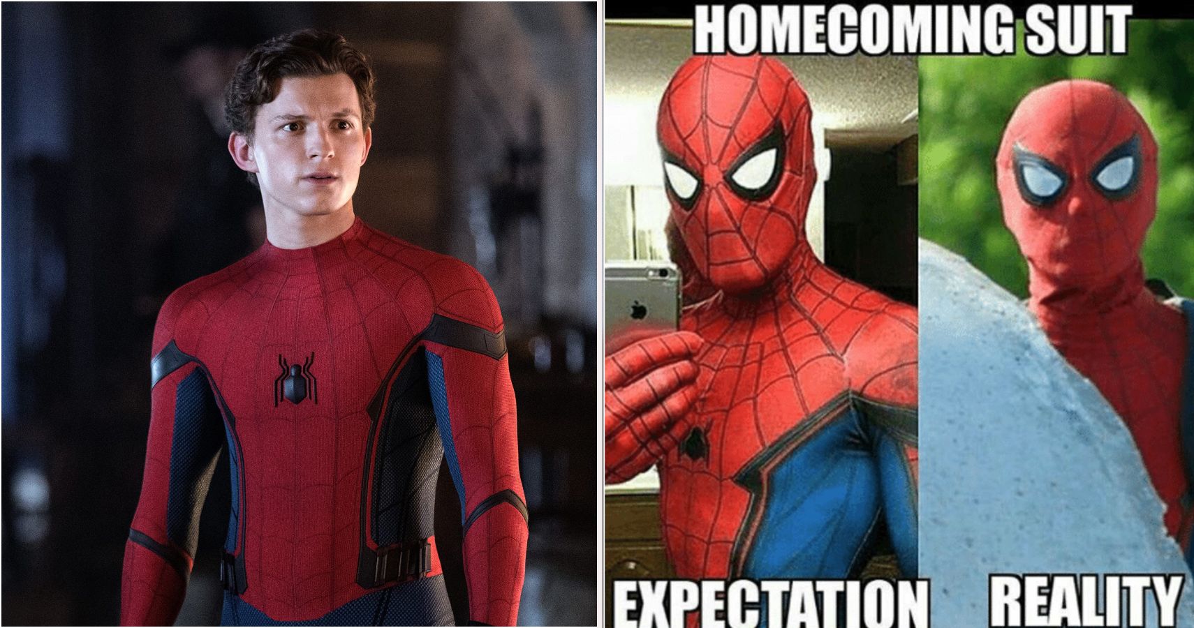 Mcu Memes Hilarantes De Tom Holland Como Spider Man Screenrant La Neta Neta