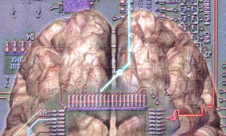 Para construir pequeñas supercomputadoras, los científicos están modelando circuitos en el cerebro humano