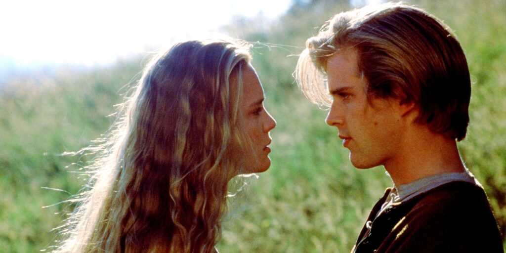 Princess Bride Remake con Sophie Turner, Joe Jonas y más listos para Quibi