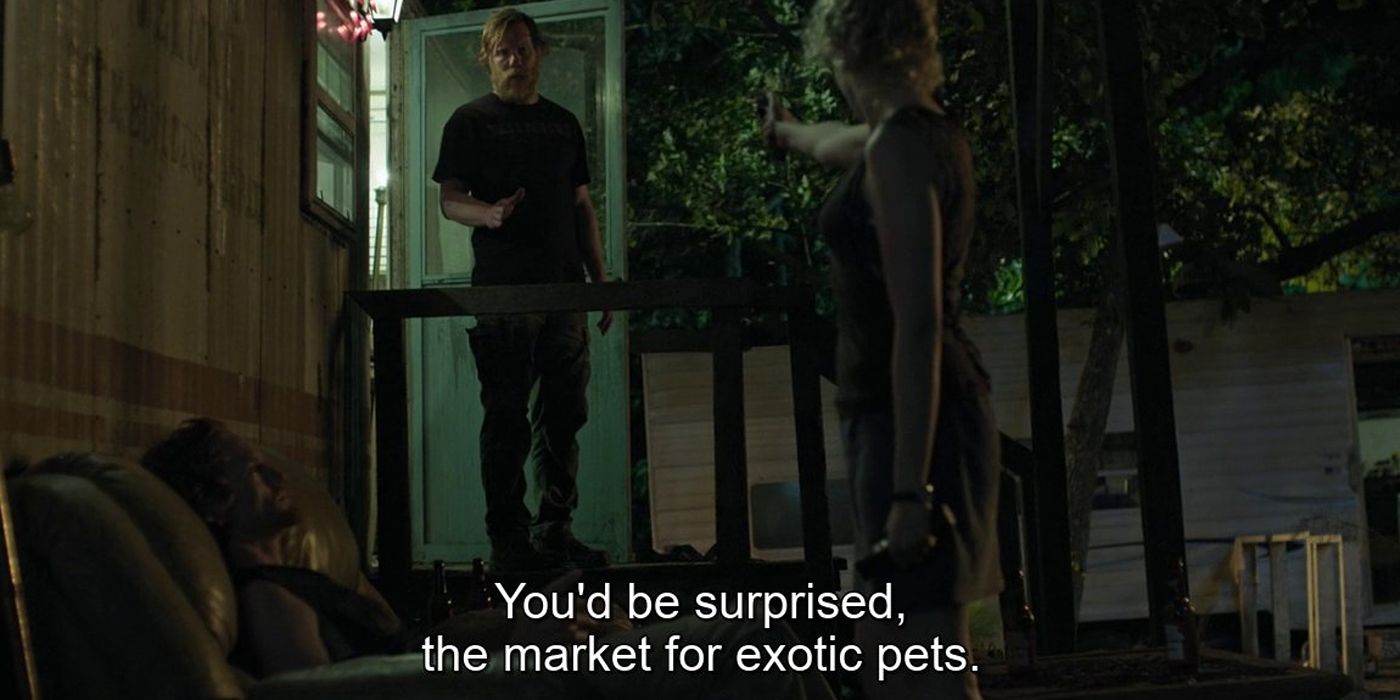 TikTok y usuarios de Twitter & # 039; Predicciones extrañas de Netflix adivina tu desafío futuro