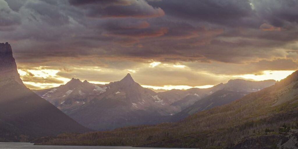 Why This Image Is Causing Android Phones to Crash