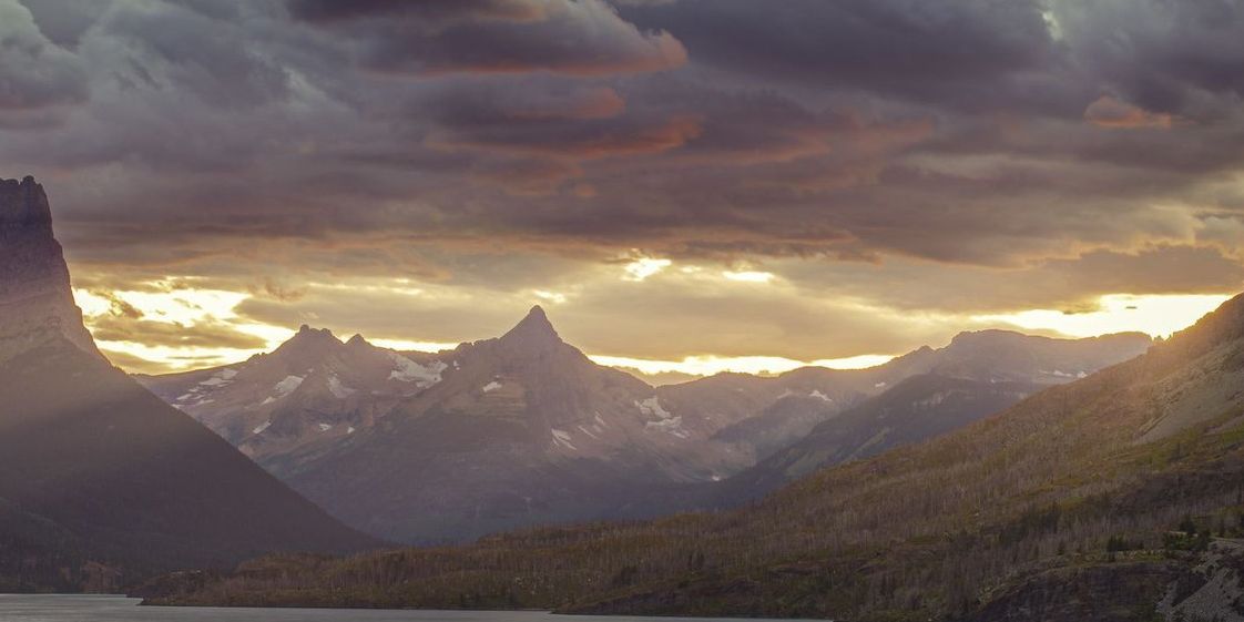 Why This Image Is Causing Android Phones to Crash