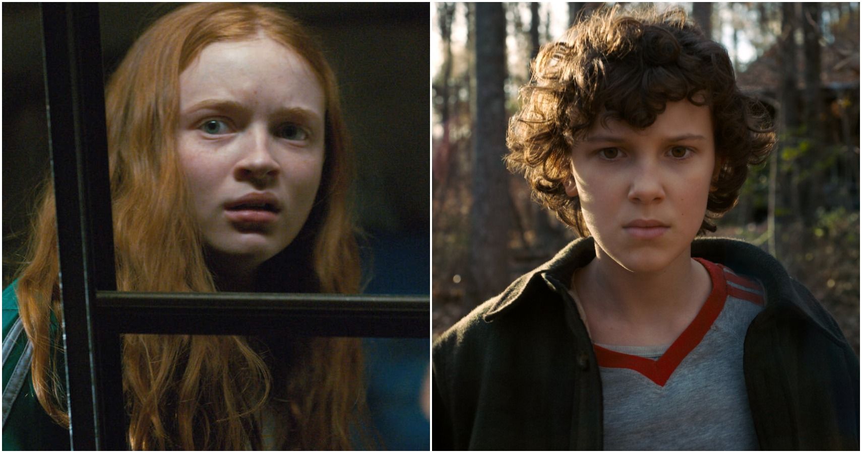 ¿Qué personaje de Stranger Things te basas en tu tipo de zodiaco chino?