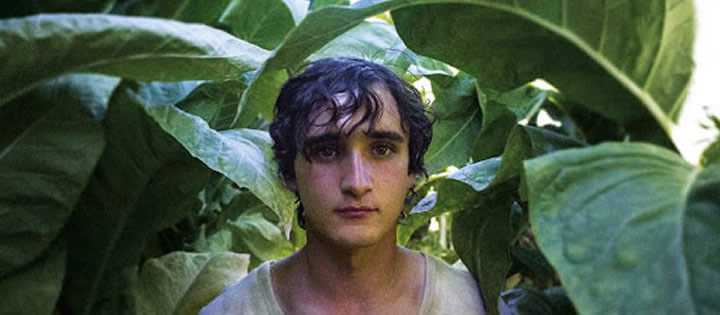 Feliz como Lazzaro - 2018 Feliz como Lazzaro 2018