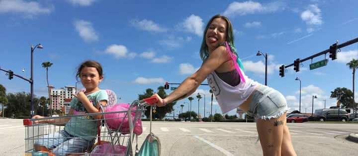 El Proyecto Florida - 2017 El Proyecto Florida 2017