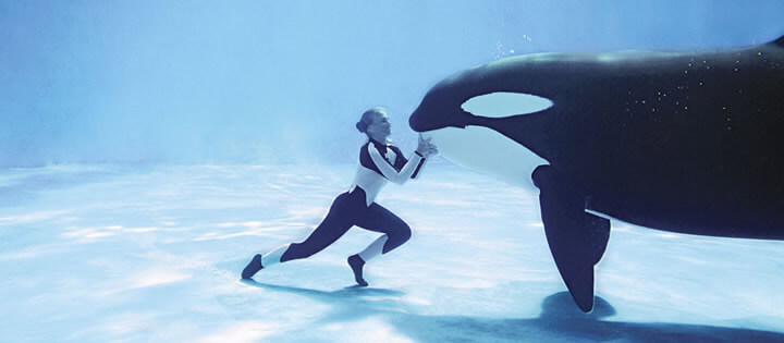 Blackfish - 2013 Blackfish 2013