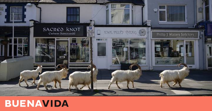 Multar por no compostar las sobras: ¿una solución fácil al problema de los desperdicios?