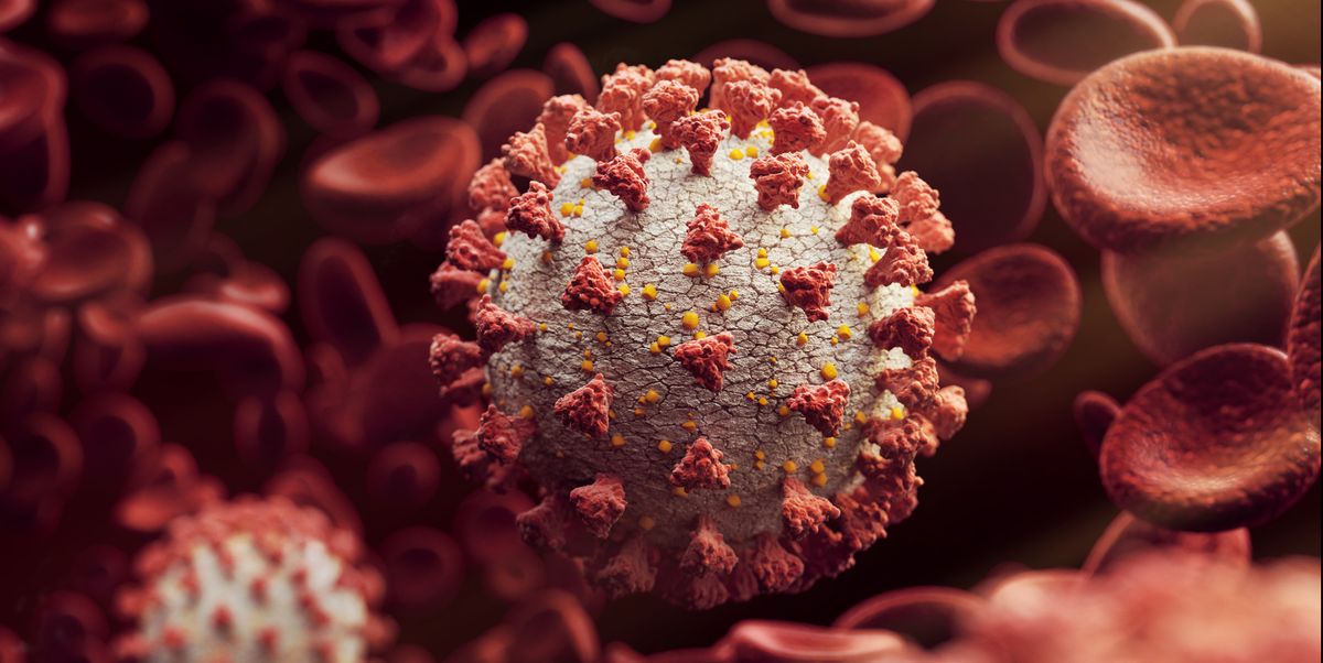 ¿Qué pasaría si pudiera eliminar el virus que causa COVID-19?