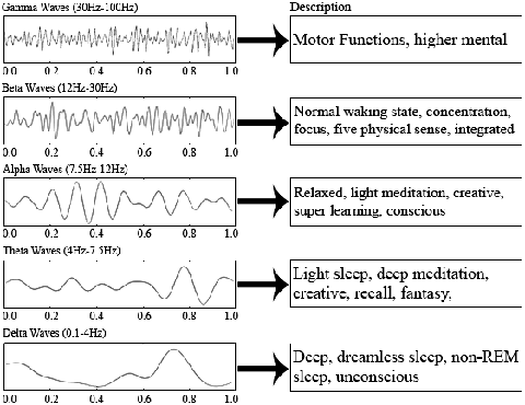 gráficos que muestran los diversos niveles de actividad cerebral, incluidas las ondas alfa y beta