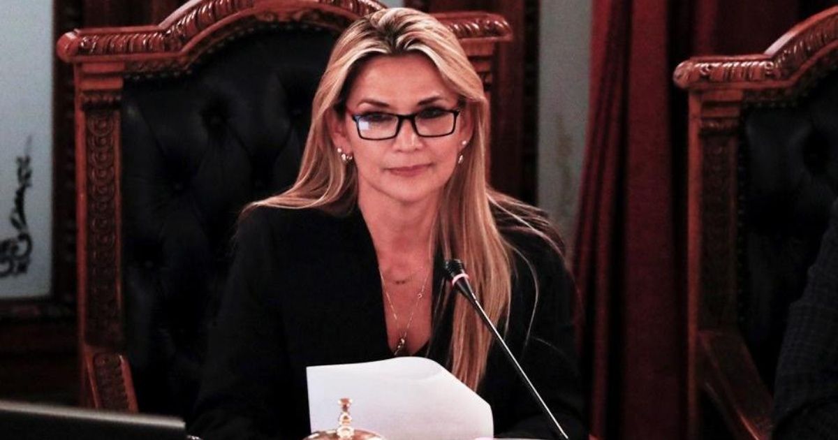 Bolivia: en medio de una suba récord de casos, Jeanine Añez confirmó que tiene coronavirus