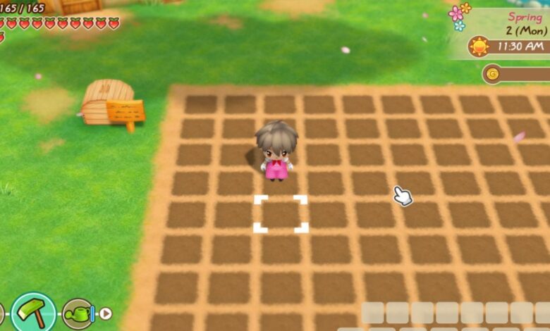 Cómo actualizar herramientas en Story of Seasons: Friends of Mineral Town