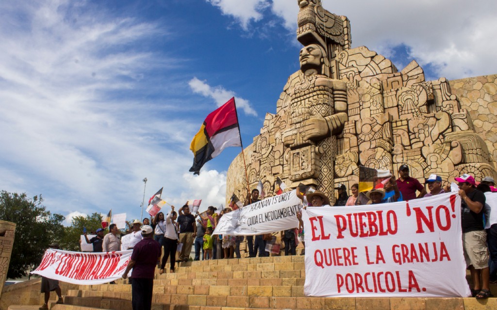 Conocerá Primera Sala de la Suprema Corte demanda de niños mayas de Yucatán sobre megagranja porcícola