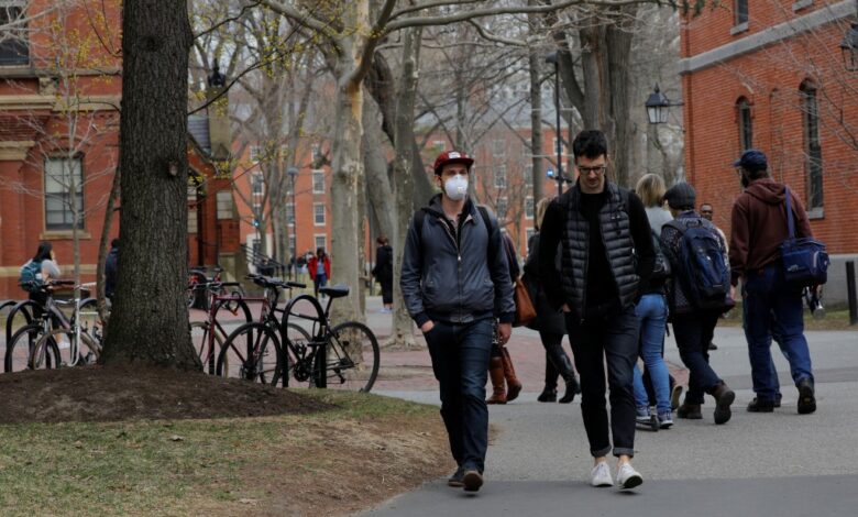 EU no permitirá ingreso de nuevos estudiantes extranjeros inscritos en cursos en línea