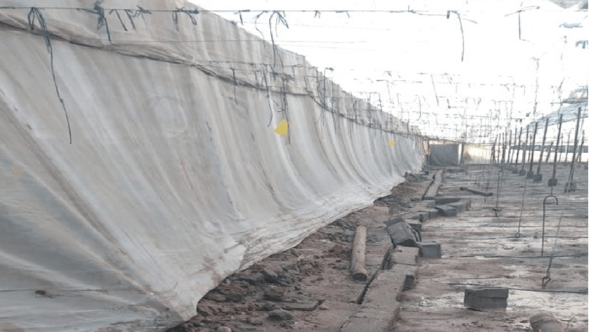 Fuertes aguaceros destruyen invernaderos de rosas en El Organal, San Juan del Río, daños cuantiosos