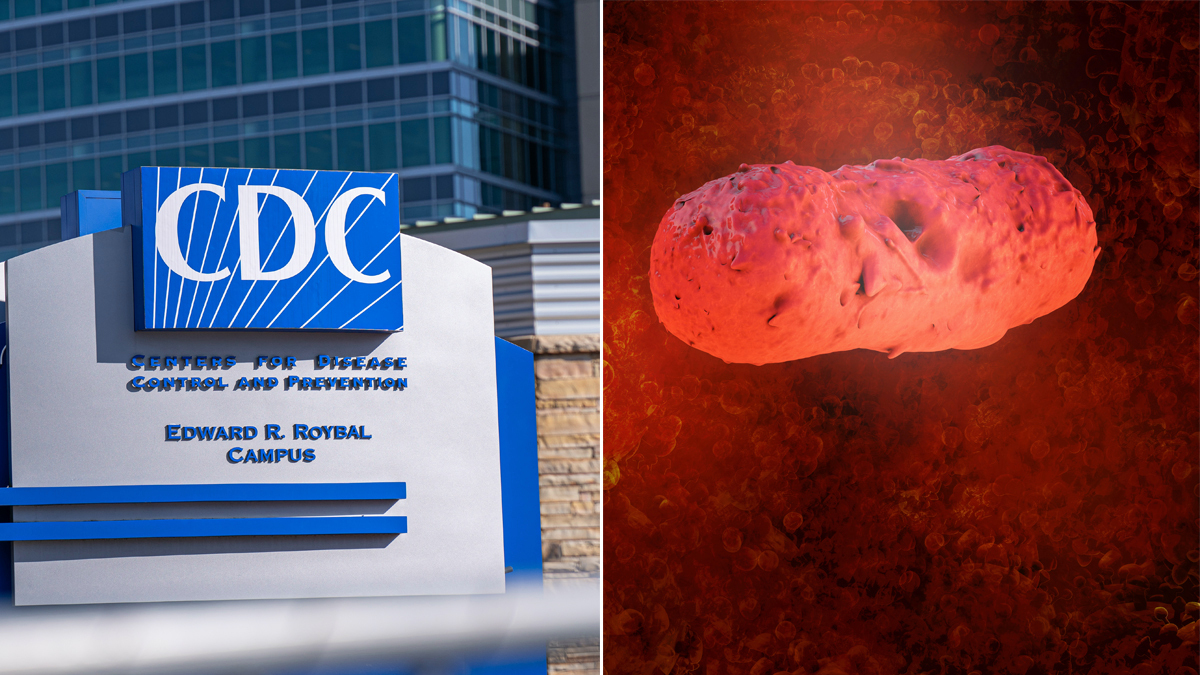 Más de 120 infectados:  investigan preocupante brote de salmonela en 15 estados