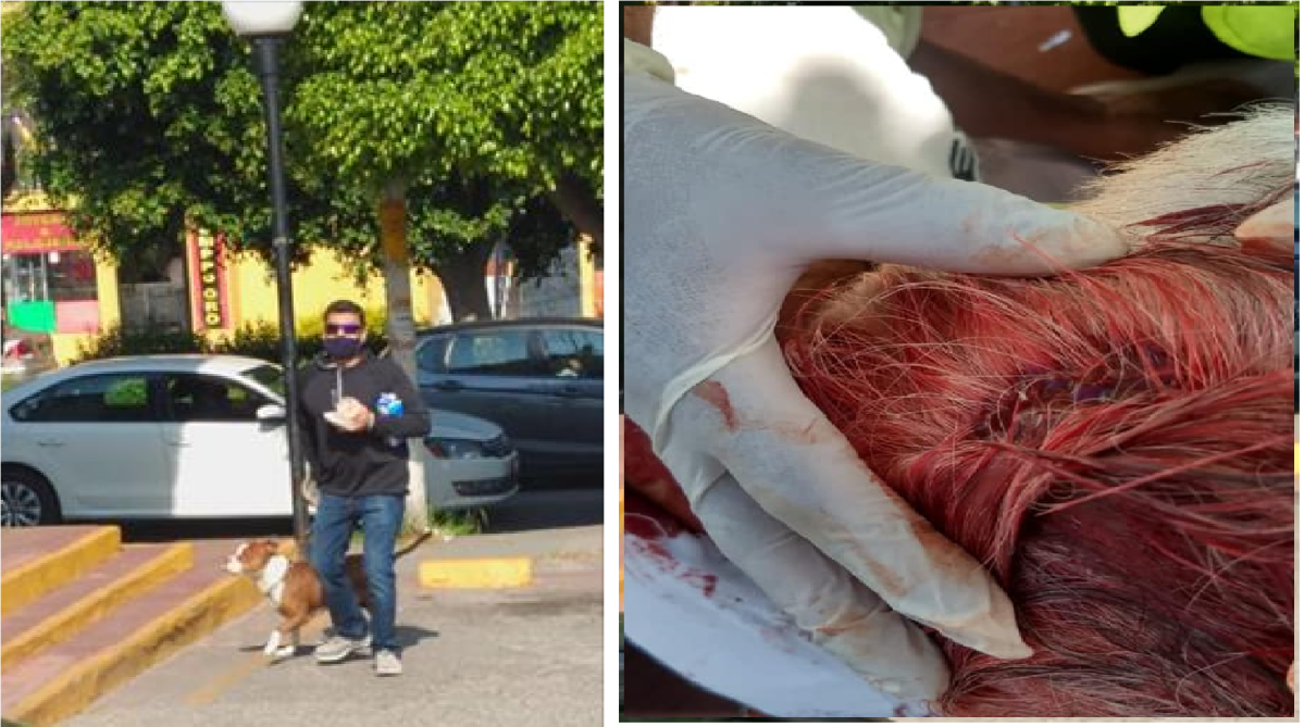 Sujeto golpea salvajemente a persona de la tercera edad en Querétaro, se busca al agresor