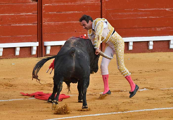 El diestro sufrió una grave cogida en El Puerto de Santa María de la que parece no haberse recuperado / Gtres