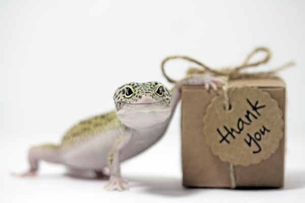 SUSE aporta EiriniX a Cloud Foundry Foundation