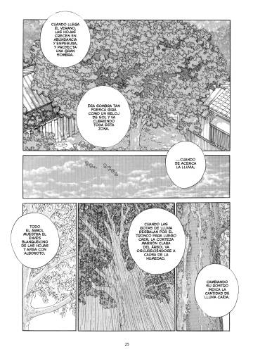 El placer de dibujar un árbol