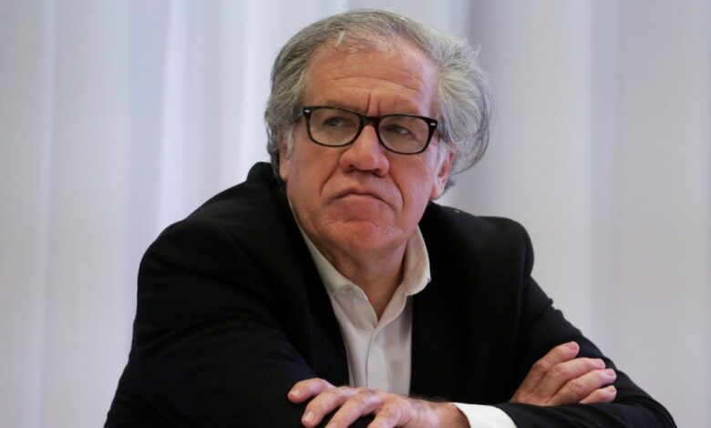 Almagro no renueva mandato de Paulo Abrão como secretario ejecutivo de la CIDH