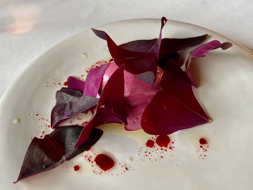 Helado de remolacha con espuma de remolacha y cerezas. J.C. CAPEL