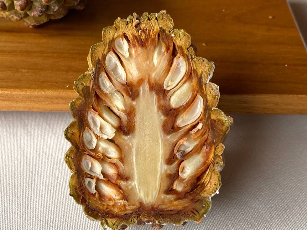 Piña dispuesta para ser exprimida en la mesa. J.C. CAPEL