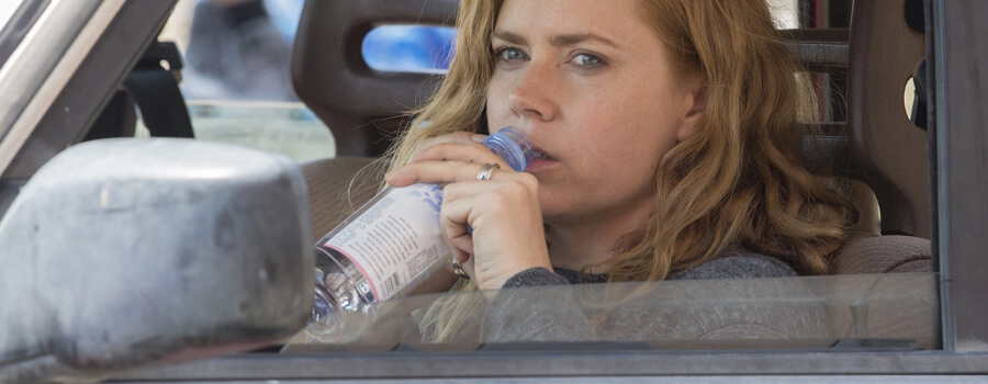 hillbilly elegy películas de netflix