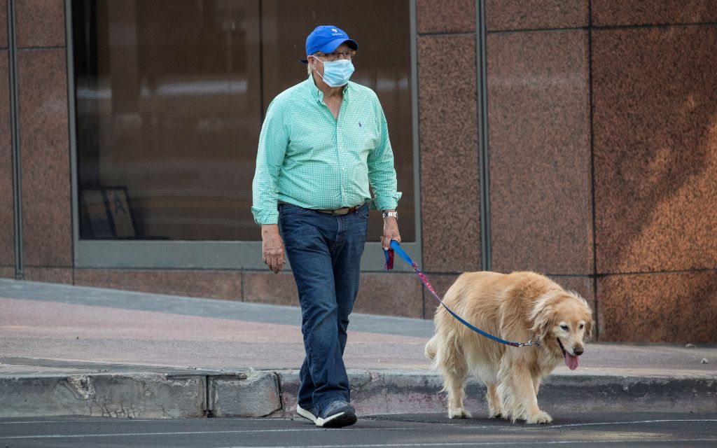 Alemania obligará a dueños de perros a pasearlos dos veces por día