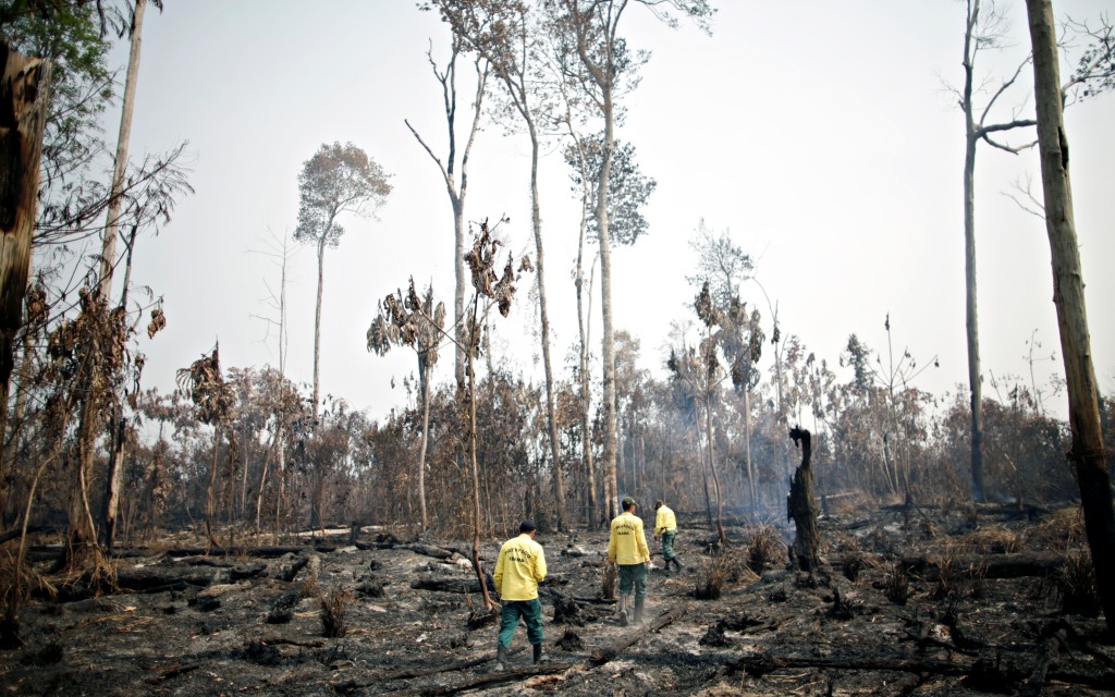 Brasil dejará de combatir la deforestación del Amazonas