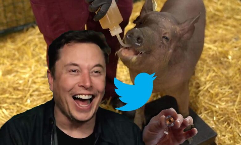 Cómo reaccionó Twitter a la demostración del cerebro Neuralink de Elon Musk