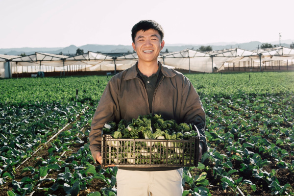 DST Global inyecta $ 35 millones en el comercio electrónico asiático Weee!