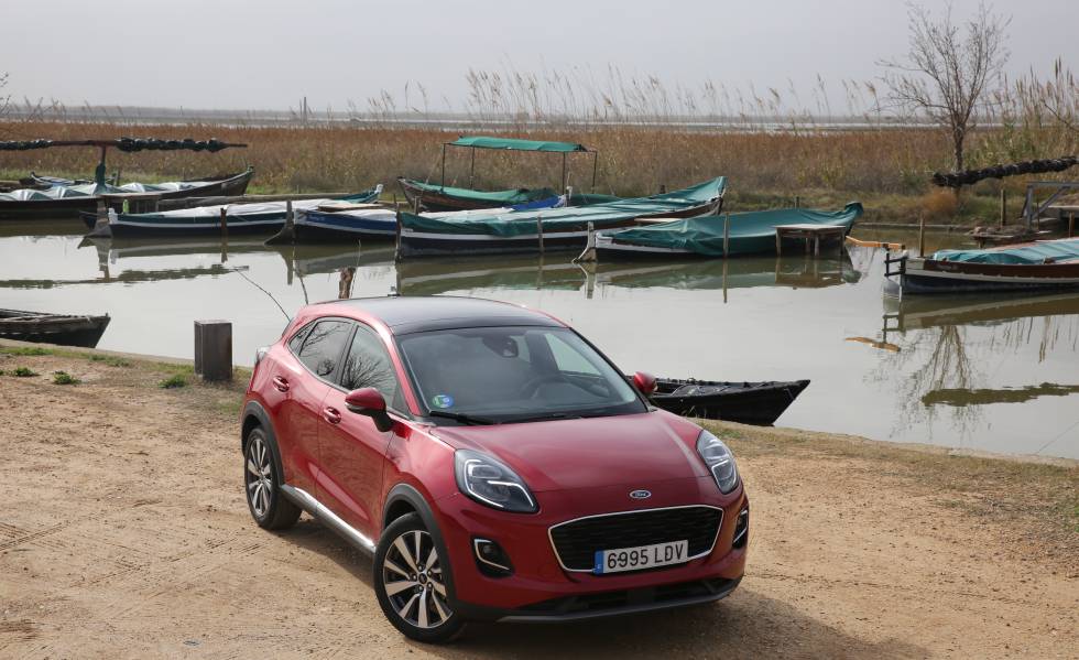 De la laguna al mar: la vida acuática de la Albufera valenciana