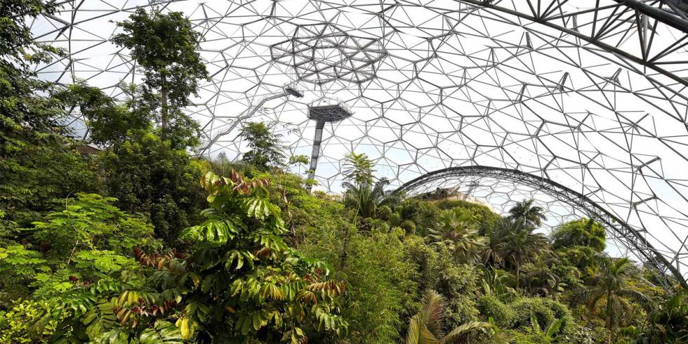 Interior del invernadero que recrea el clima tropical.