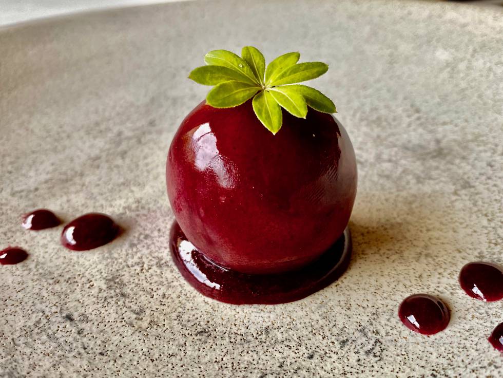 Ciruela. Paté de lechazo churro a la gelatina de vino. J.C. CAPEL