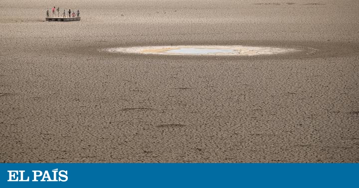 Las otras curvas económicas que urge aplanar