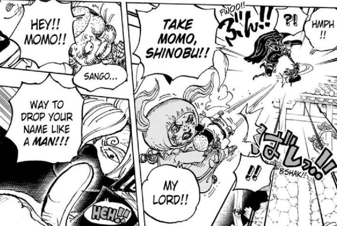 Misión de rescate de One Piece Momo Misión de rescate de One Piece Momo