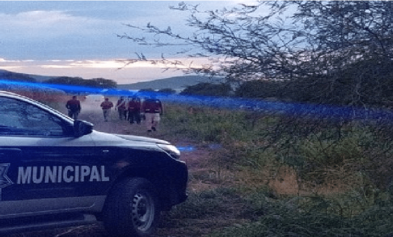 Siguen ejecuciones en Palo Alto, hallan a un hombre muerto entre milpas, en El Marqués