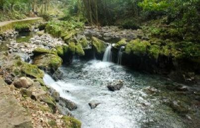 Deben fortalecerse las áreas naturales protegidas, afirma Fundar