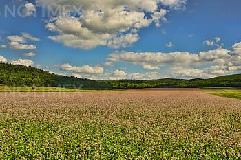 Desarrolla Conabio Explorador de cambio climático y biodiversidad