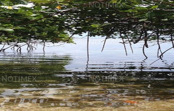 Panamá va por la inversión verde tras contingencia por COVID-19