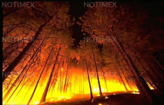 Registran 22 incendios forestales en cinco estados